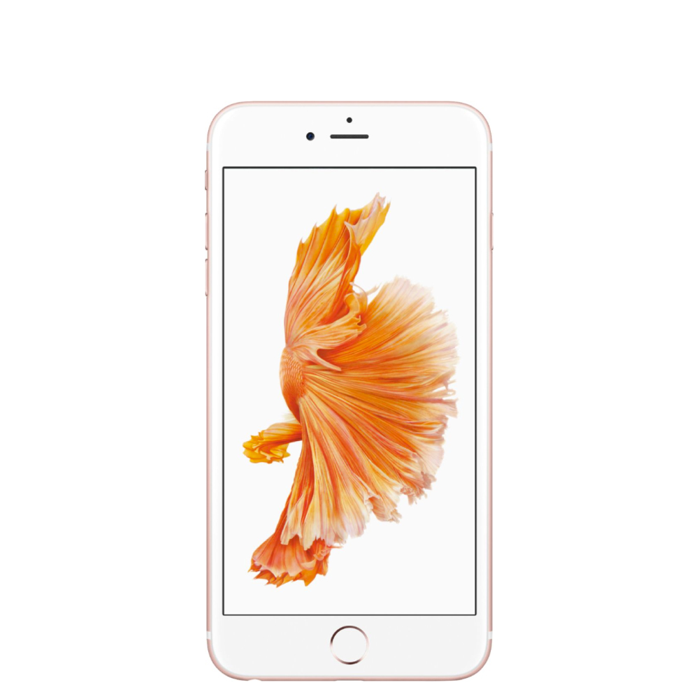 Vista del producto 5